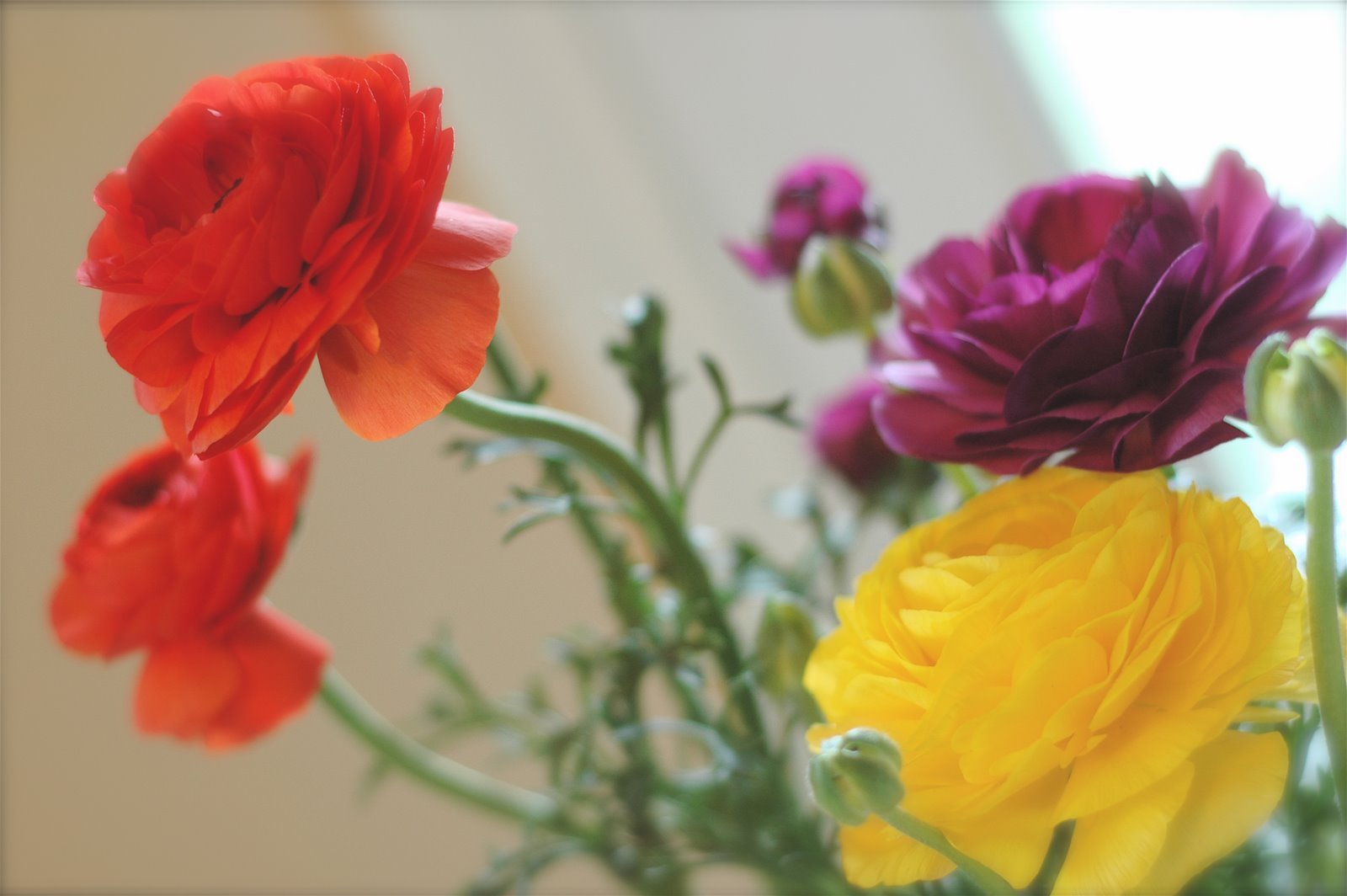[DSC_1282.JPG]