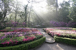 Butterfly Garden