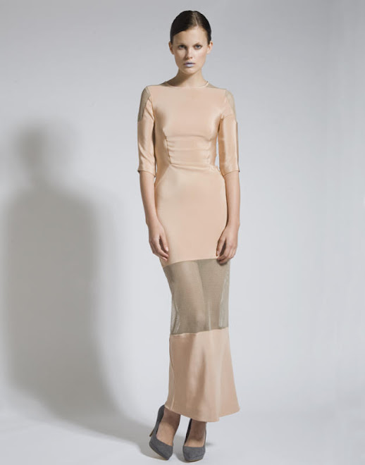 Nude Silk Dress with Net Inserts