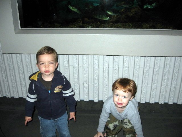 [april+activities+009.jpg]