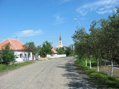 Strada principala din comuna Dudesti Vechi