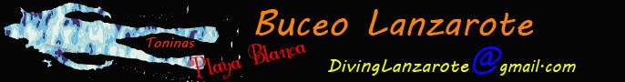 Buceo  lanzarote