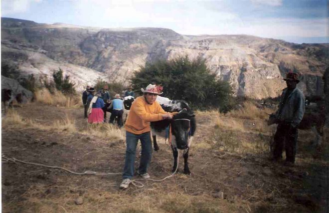 [aycca+herranza.jpg]