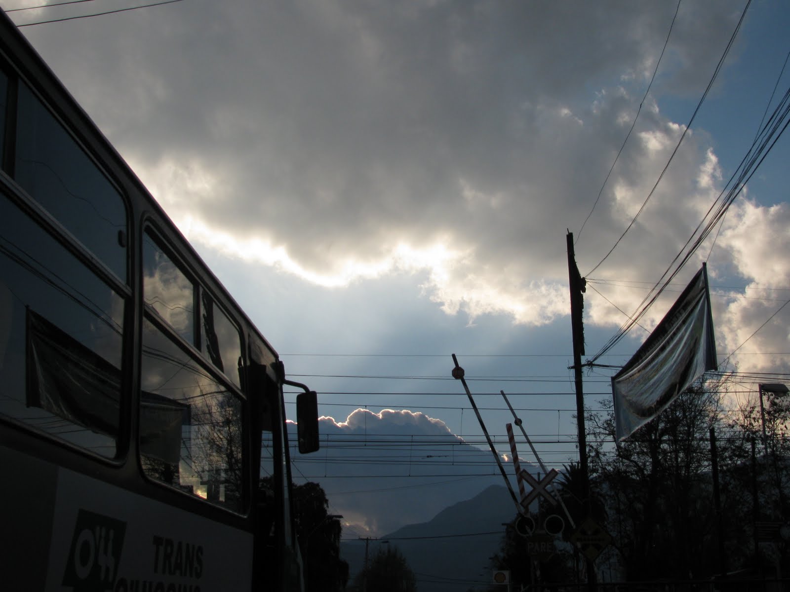 [IMG_3738.JPG]
