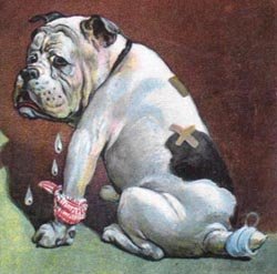 ANTIQUE DOG POSTCARD