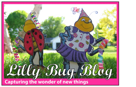 Lilly Bug Blog