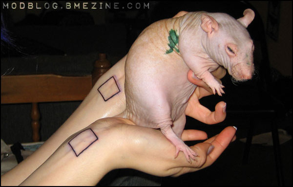 [squarerat_ModBlog.jpg]