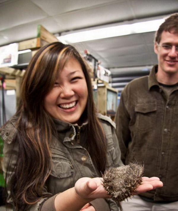 [strange_monster_03.jpg]