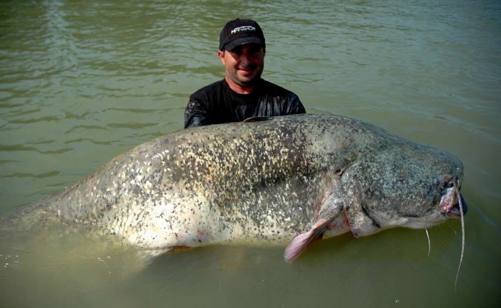 Ugly Overload Taste for German Flesh