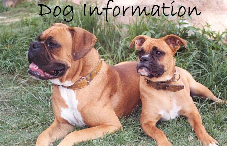 Dog Information