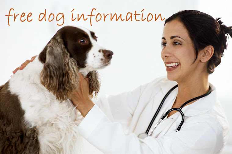 free dog information