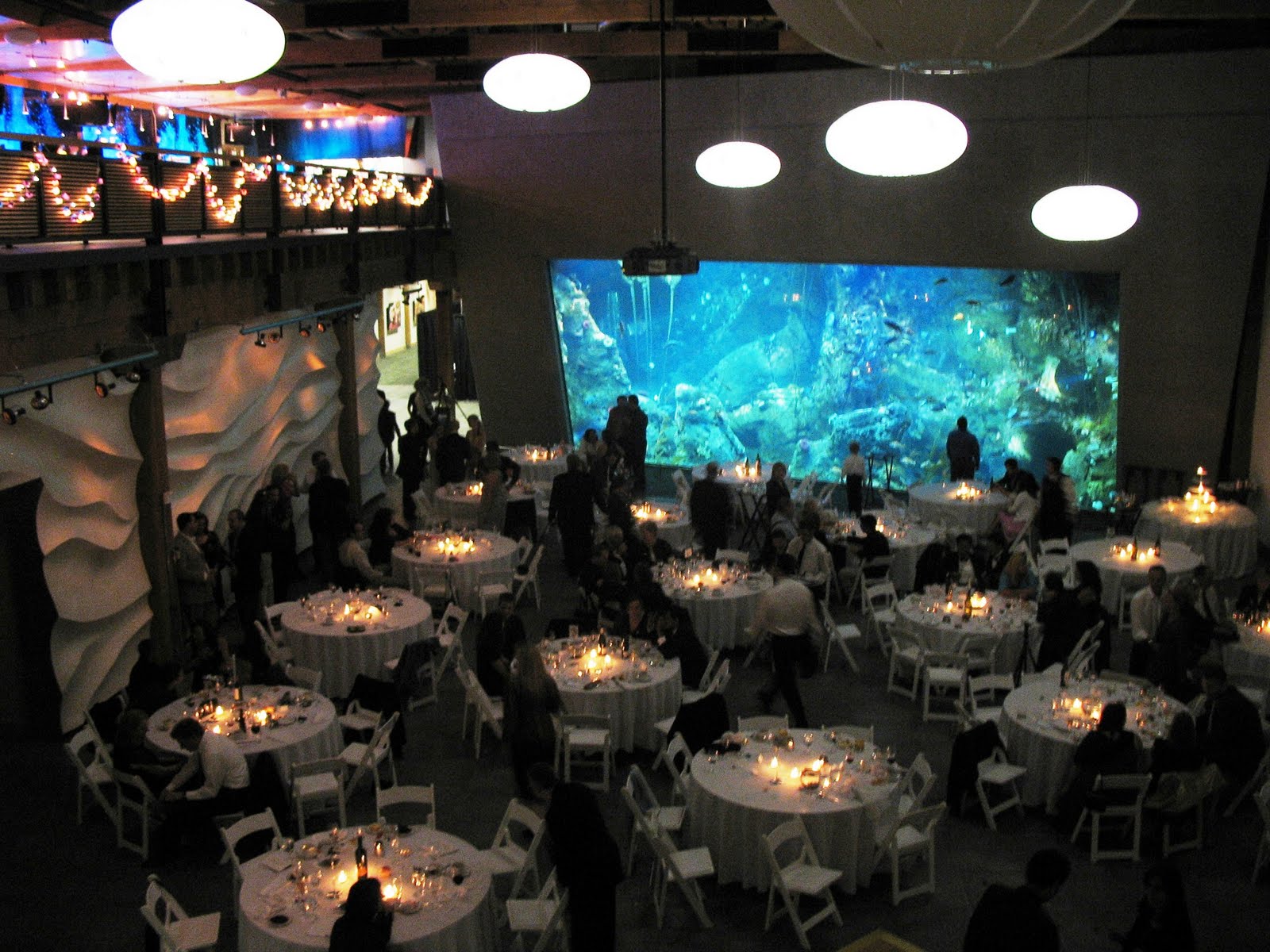 Harvest thanksgiving videos