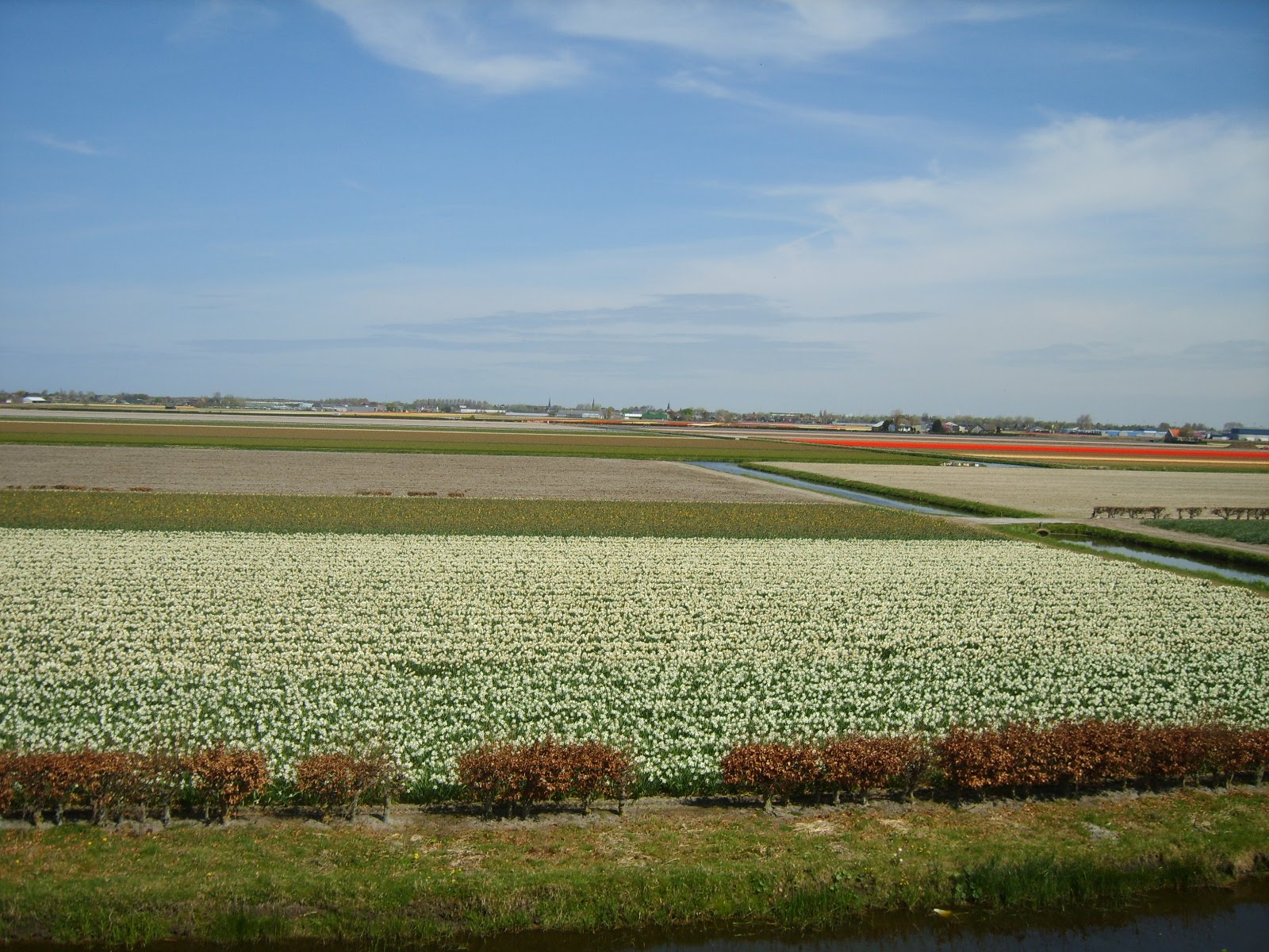 [S8300514.JPG]