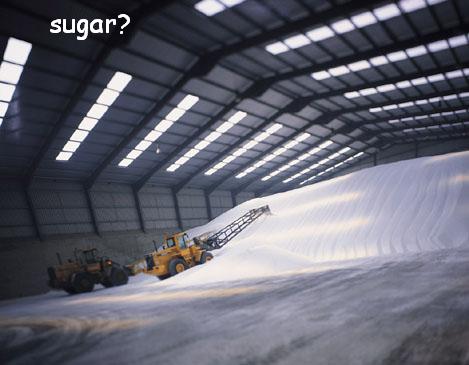 [sugar2.JPG]