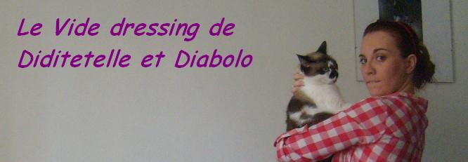 Diditetelle vide son dressing