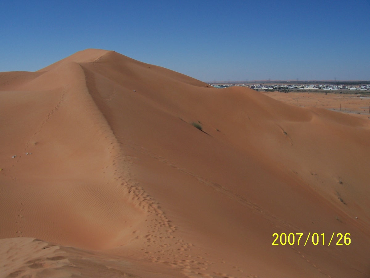 [dune2.JPG]