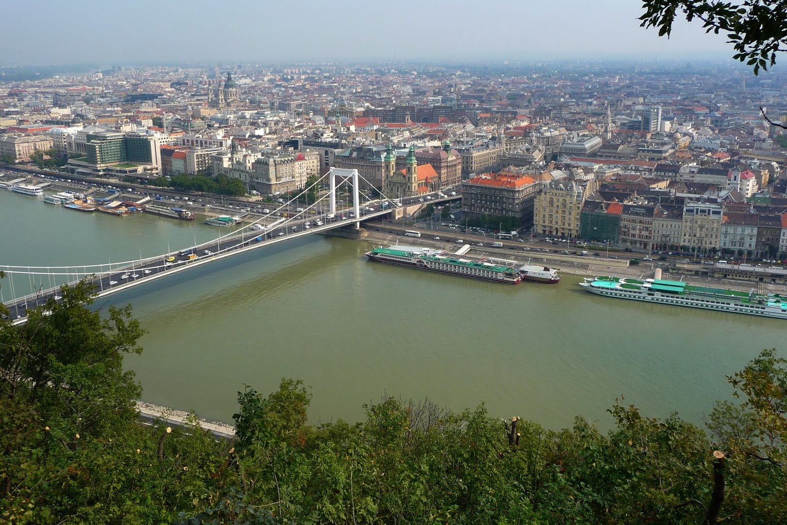 [美麗的伊莉莎白橋依傍著多瑙河.jpg]