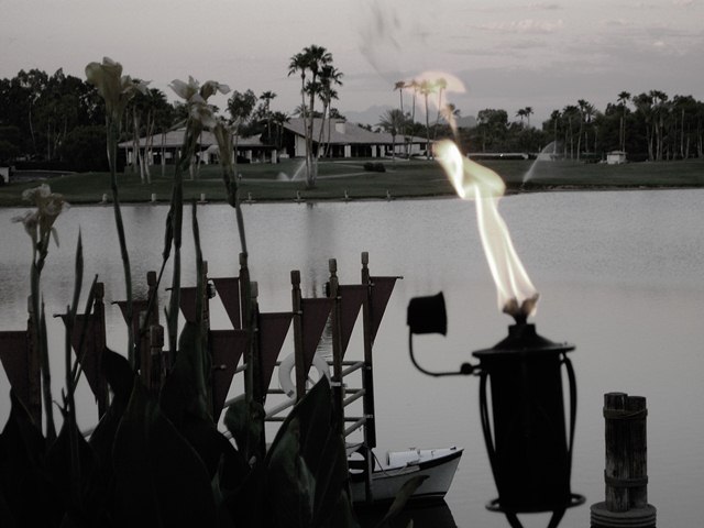 PICT0225.jpg?width=300