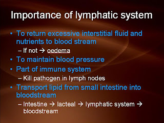 Biology Student's Corner