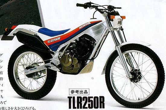 h1986_tlr250r_std.jpg