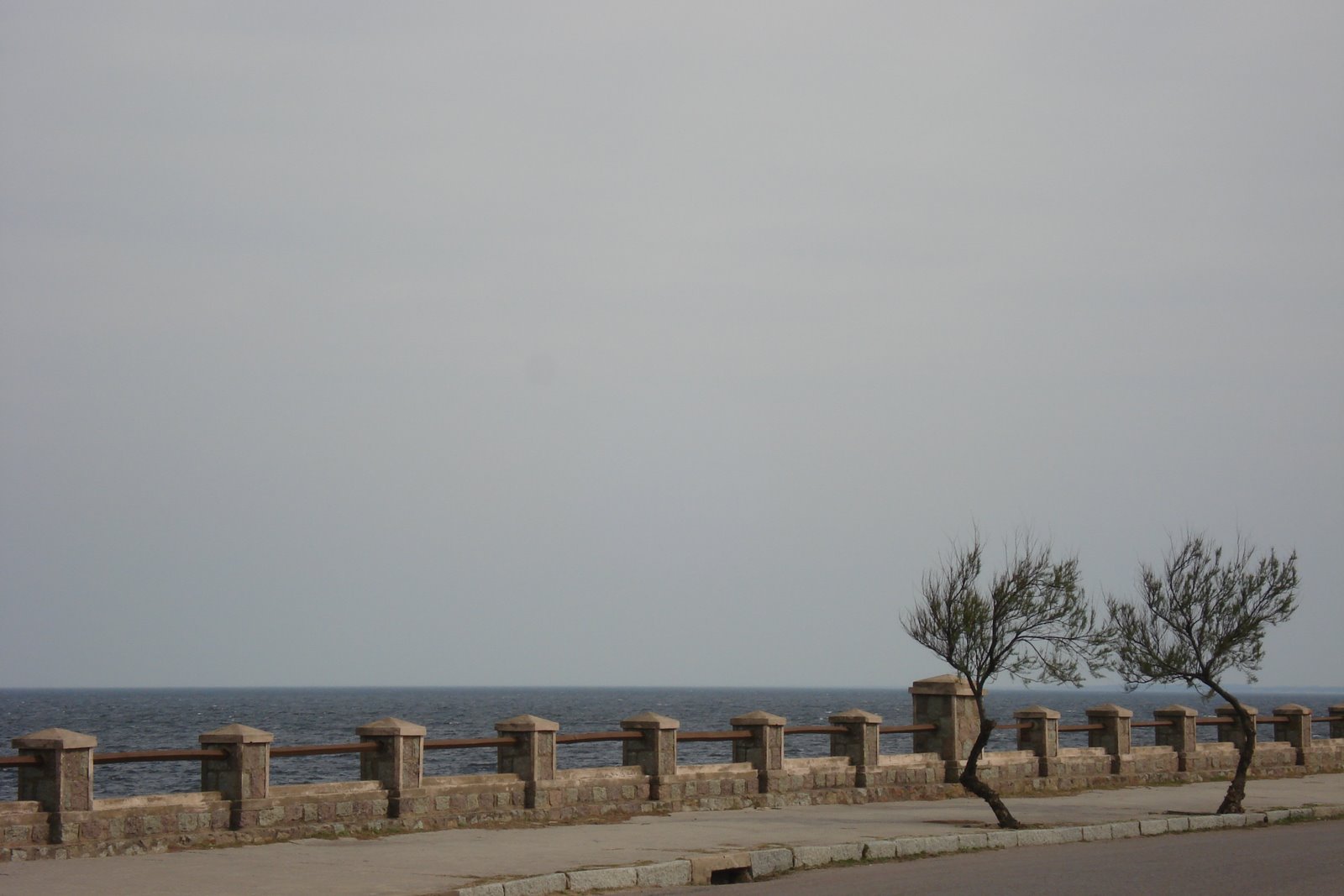 [DSC03193.JPG]