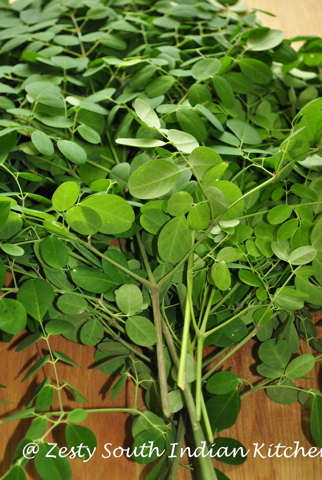 Drumstick Leaf