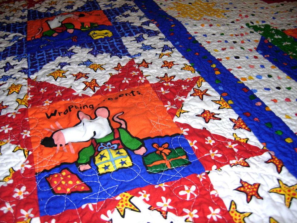 [maisy_quilting_detail_front.jpg]