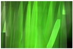 [green2.bmp]