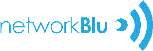 [Networkblu-logo+Blog.gif]