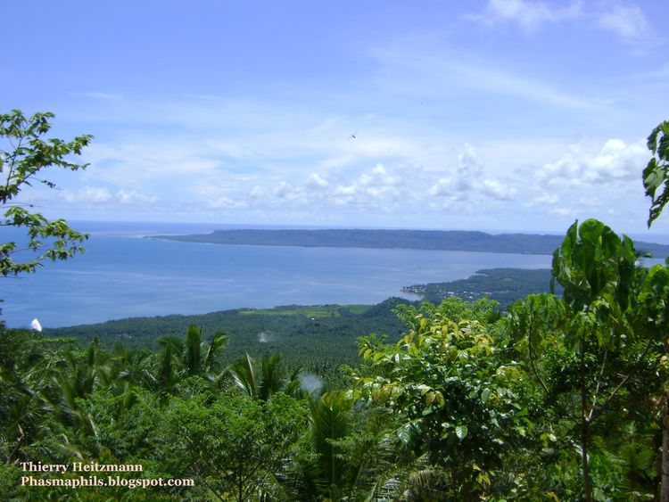 PhasmaPhils October 2010