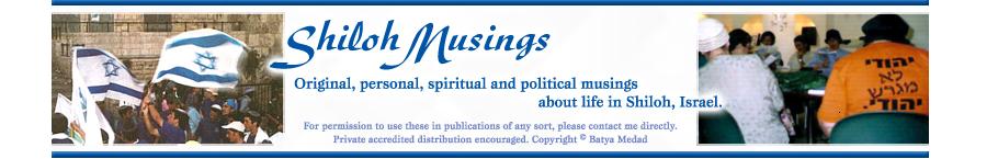 Shiloh Musings