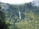 Villas Pico Bonito Jungle Eco Lodge