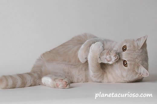 [n1191105969_30434780_6271212[1].jpg]