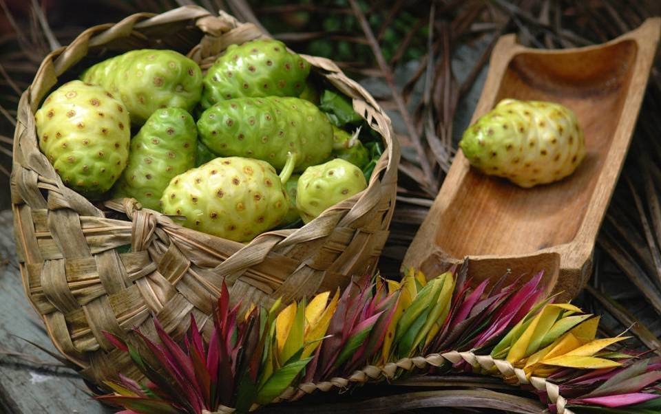 Sabores Especiales El Noni