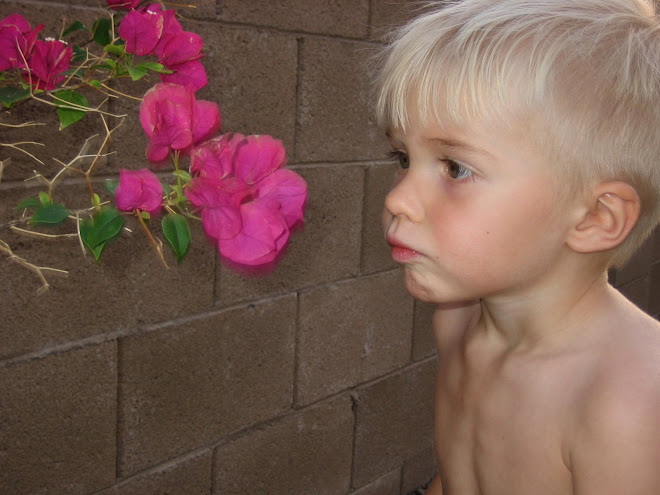 Smelling the flowers in our backyard