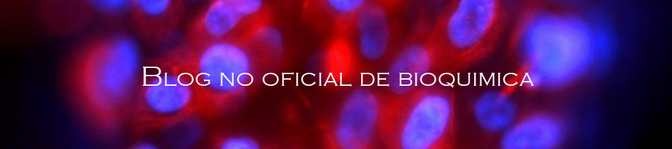 Blog No Oficial de Bioquimica