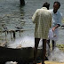 Cat Lovers in India