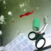 Cat Blood Bank