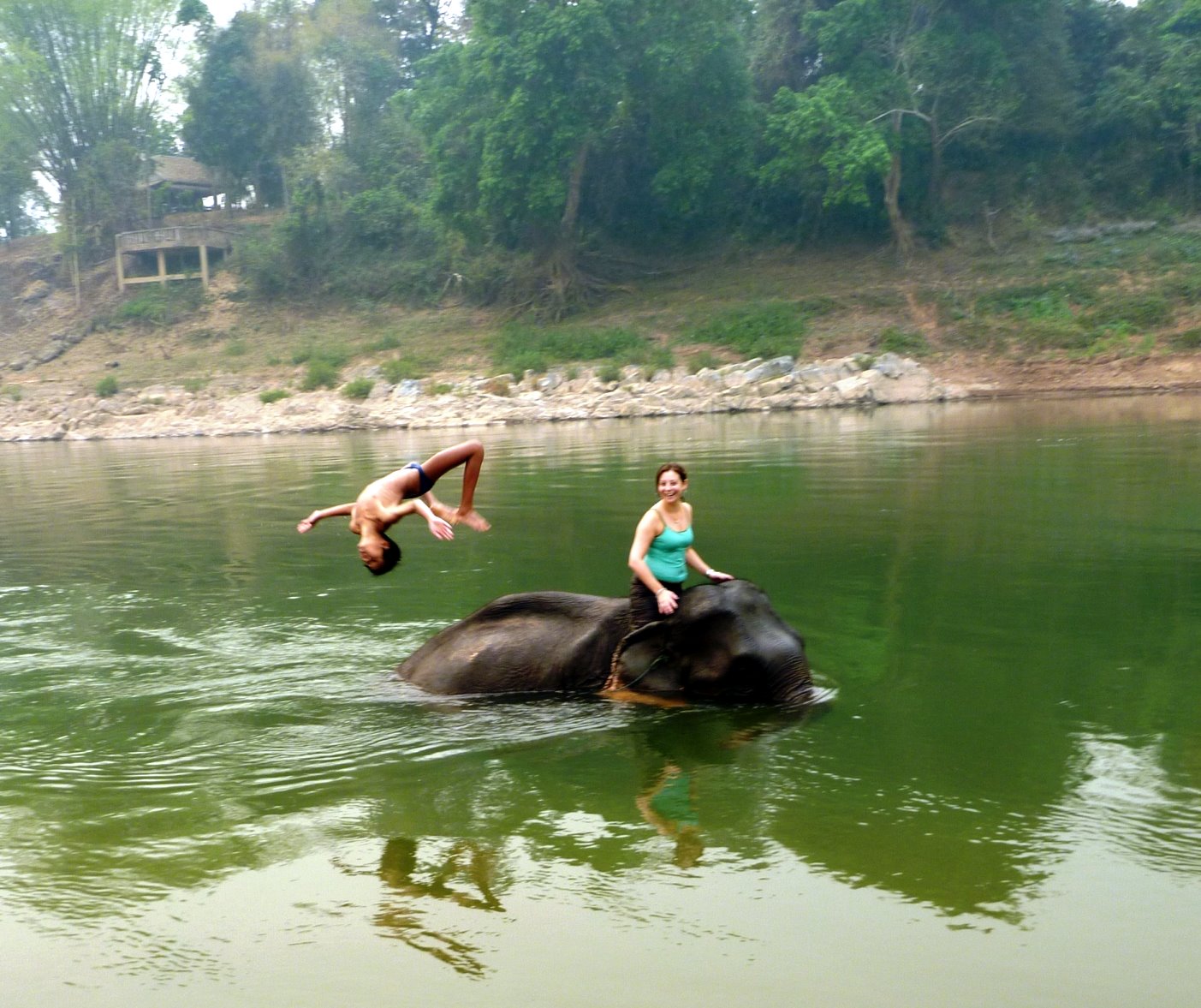 [Luang+Prabang+Elephant+wATER.jpg]
