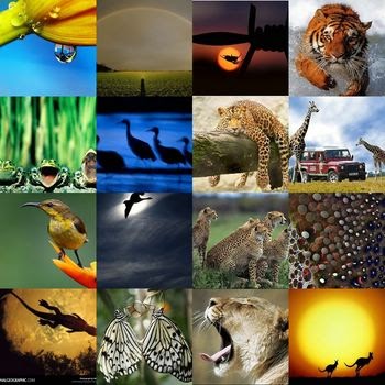 Geografi Faktor Faktor Yang Mempengaruhi Persebaran Flora Dan Fauna