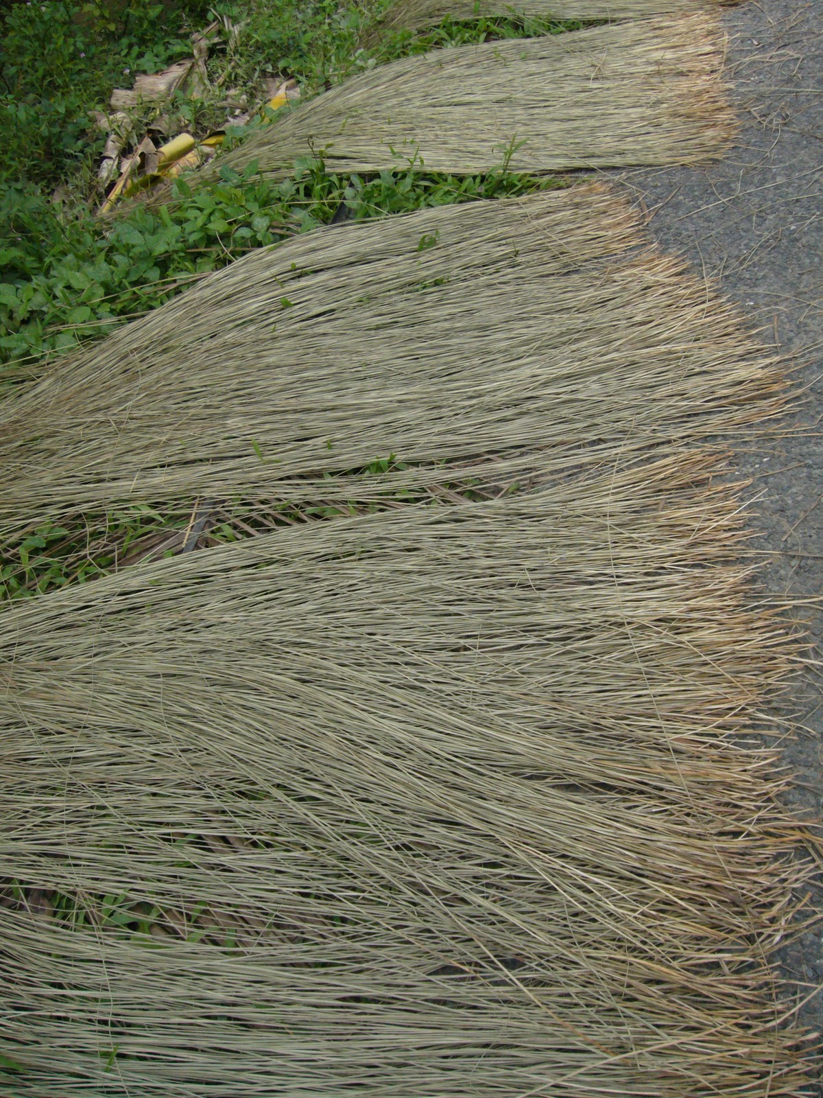 adventures in sustainability Traditional Reed Mats in Ben Tre, Vietnam