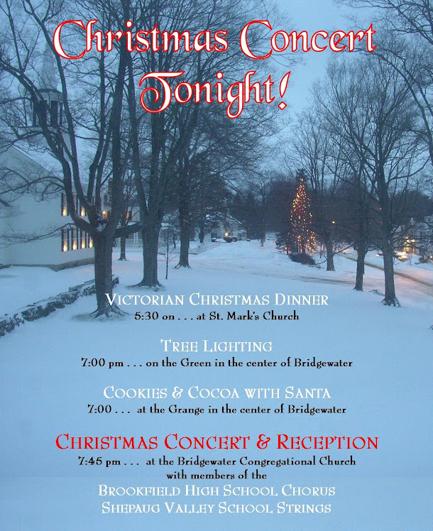christmas tree lighting blue snowstorm