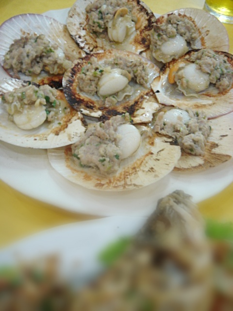[nam+sing+scallops.JPG]