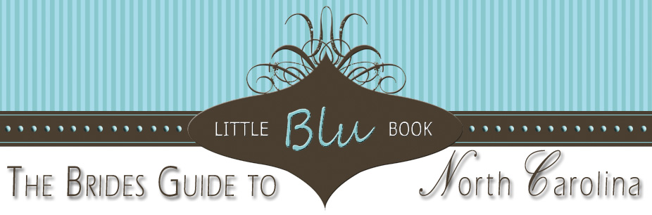 Little Blu Blog