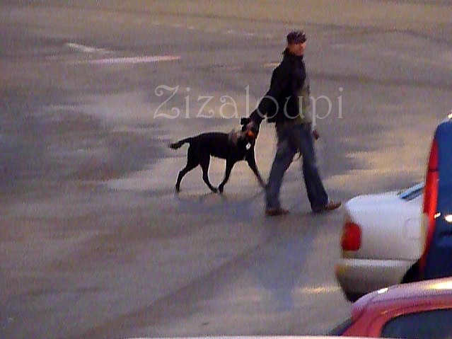 [26310_1296026476968_1119510504_30811982_5101092_n.jpg]