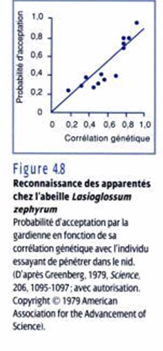 [reconnaissance+des+parentés+d'abeilles.png]