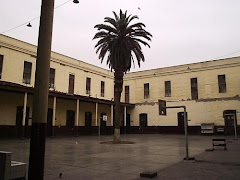 Patio de las palmeras ( de 3ro)