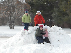 The middle of the cul-de-sac snow hill