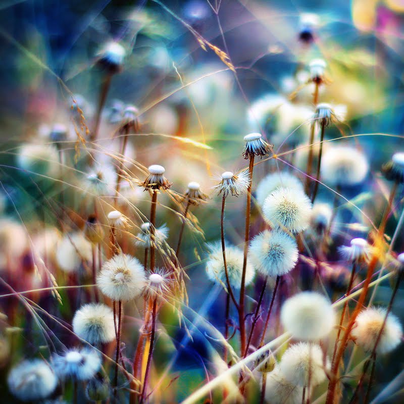 [Maybe_Next_Time_by_P0RG.jpg]