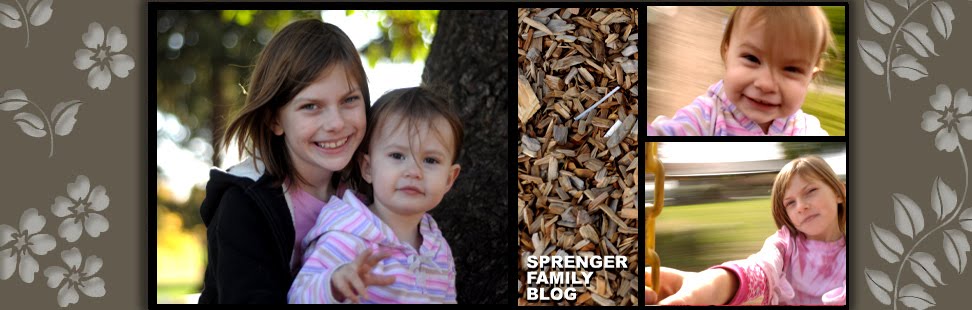 Sprenger Family Blog